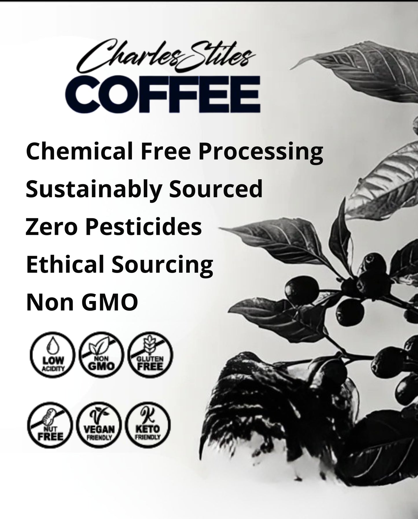 Advertisement for Charles Stiles Coffee with coffee beans and leaves, highlighting chemical-free processing and ethical sourcing.