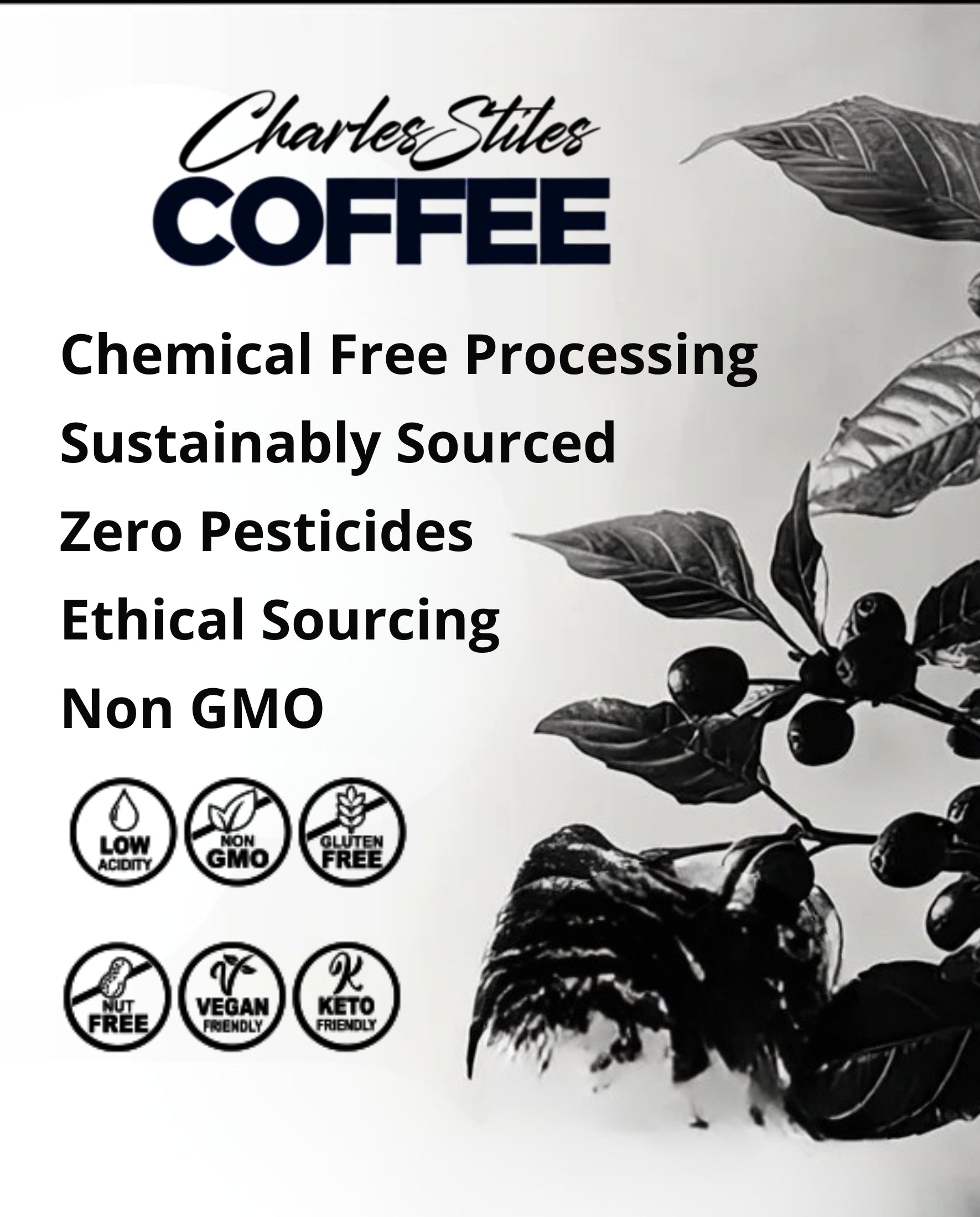 Advertisement for Charles Stiles Coffee with coffee beans and leaves, highlighting chemical-free processing and ethical sourcing.