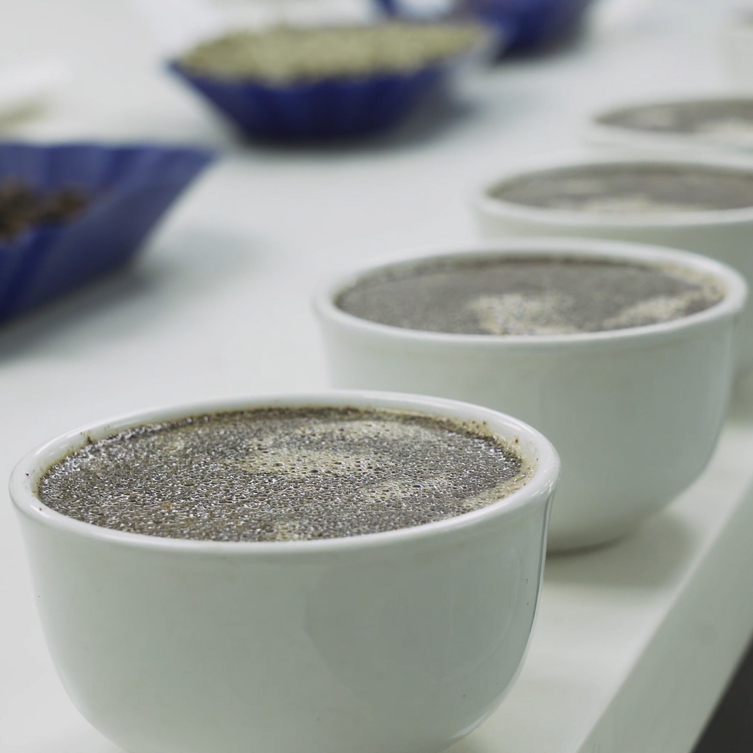 White bowls filled with a dark powdery substance on a white surface.